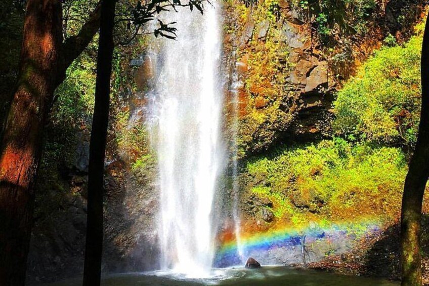 Half-Day Kayak and Waterfall Hike Tour in Kauai with Lunch