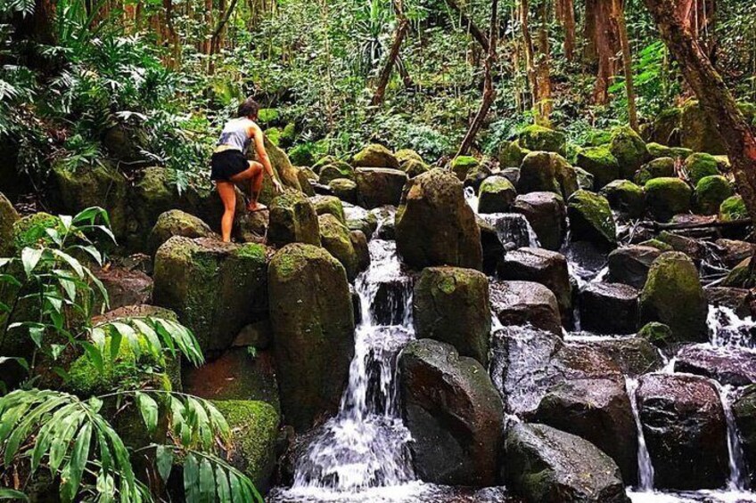 Half-Day Kayak and Waterfall Hike Tour in Kauai with Lunch