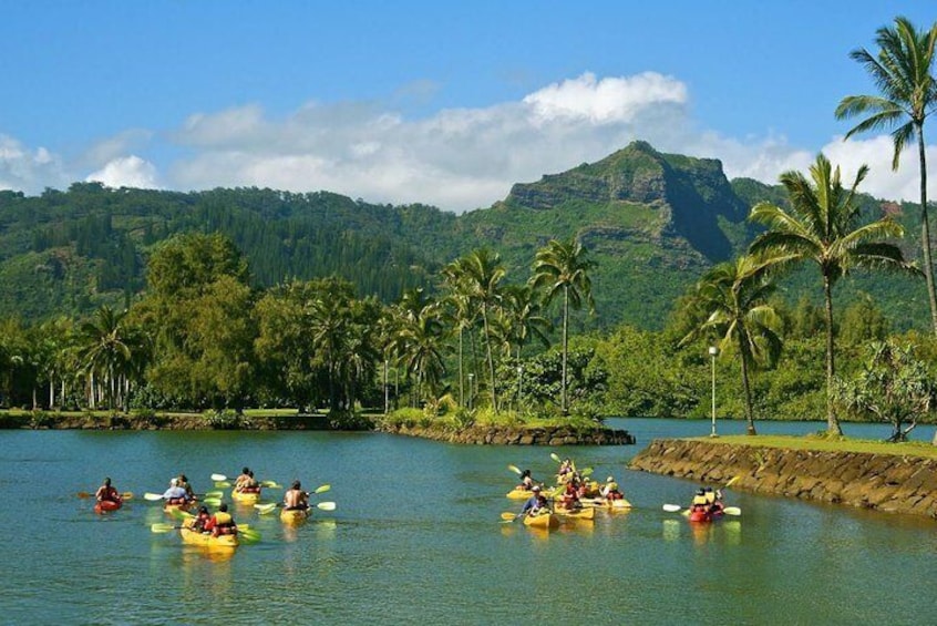 Half-Day Kayak and Waterfall Hike Tour in Kauai with Lunch