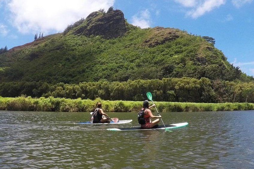 Half-Day Kayak and Waterfall Hike Tour in Kauai with Lunch