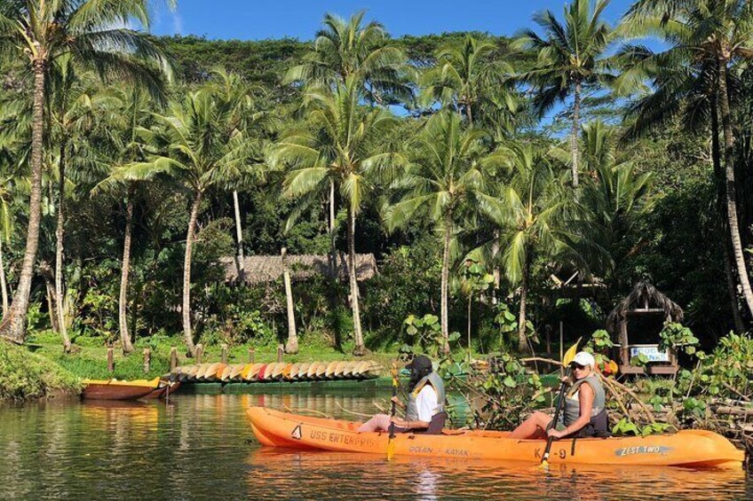 Half-Day Kayak and Waterfall Hike Tour in Kauai with Lunch