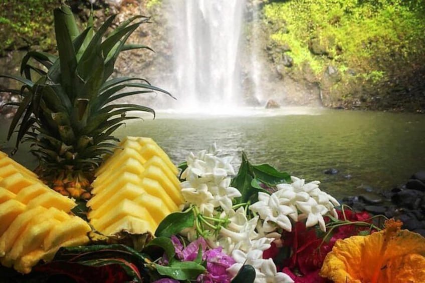 Half-Day Kayak and Waterfall Hike Tour in Kauai with Lunch