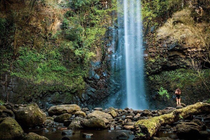 Half-Day Kayak and Waterfall Hike Tour in Kauai with Lunch