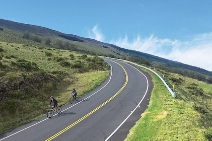 Haleakala Downhill Self-Guided Bike Tour