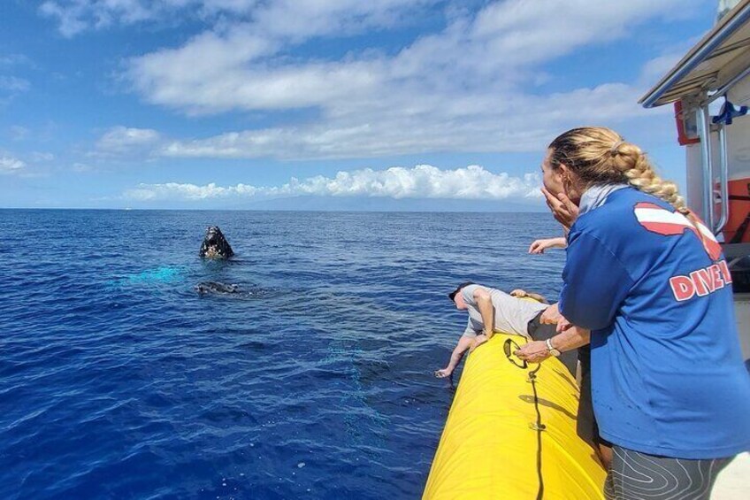 Small Group 2 hour Whale Watch from Raft (Mala, Lahaina)