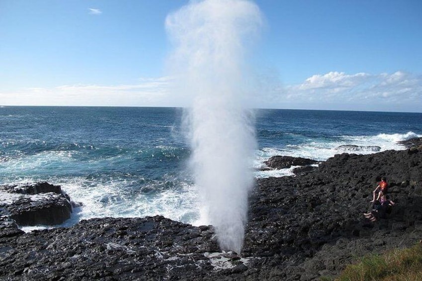 Oahu Ultimate Circle Island Tour Full Day Experience