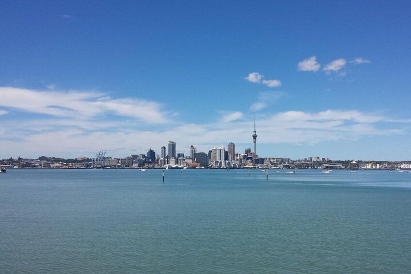 Auckland City