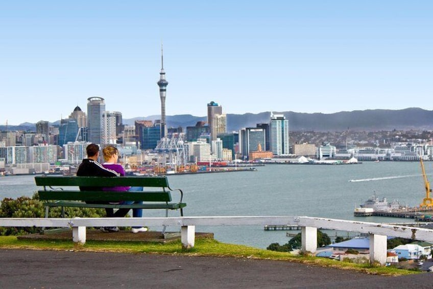 Small-Group Auckland City Tour