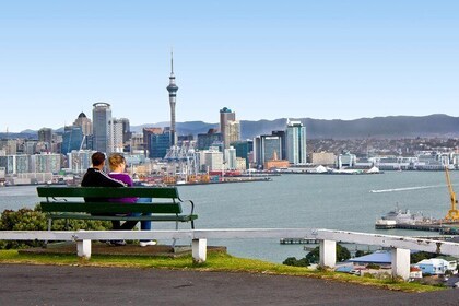 Auckland City Small-Group Morning Discovery Tour
