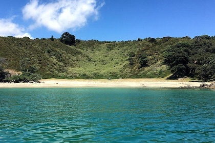 Waiheke Island Bush & Beach Walk