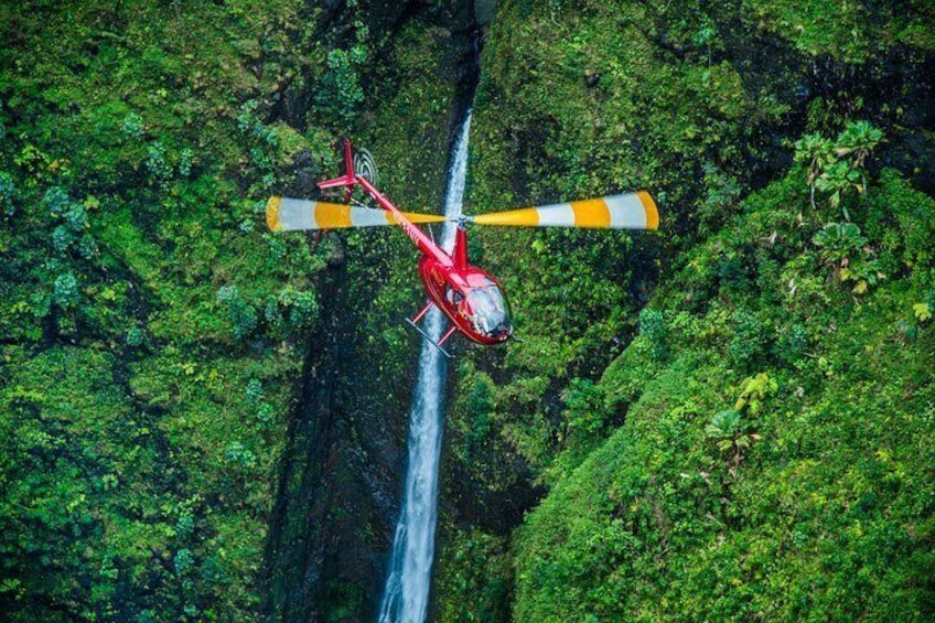 Private 60 Minute Helicopter Tour with Romantic Landing