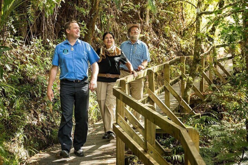 Private Auckland Luxury Tour