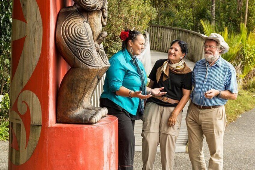 Private Auckland Maori Luxury Tour