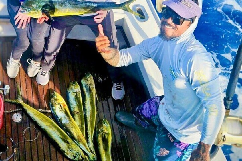 Mahi Mahi (Dorado)