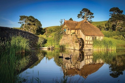 Rotorua to Auckland via Hobbiton Movie Set and Waitomo Caves OneWay Private...