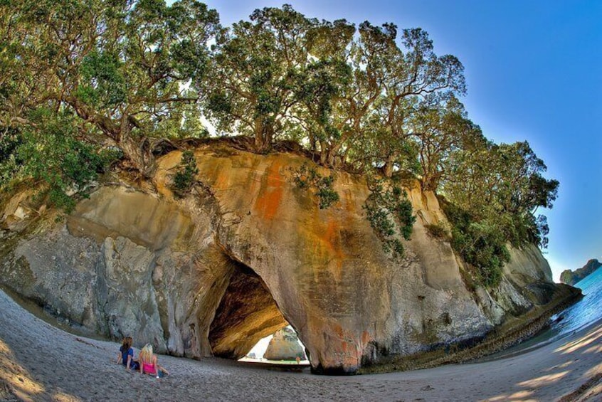 Auckland to Coromandel Private Tour