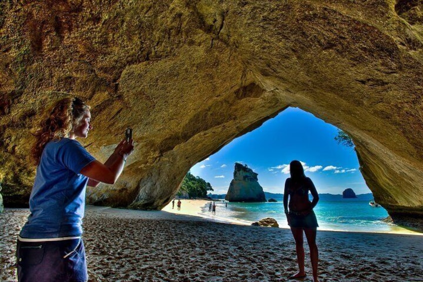 Auckland to Coromandel Private Tour