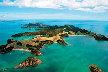 Auckland to Hokianga & Bay of Islands 3 Day Private Tour