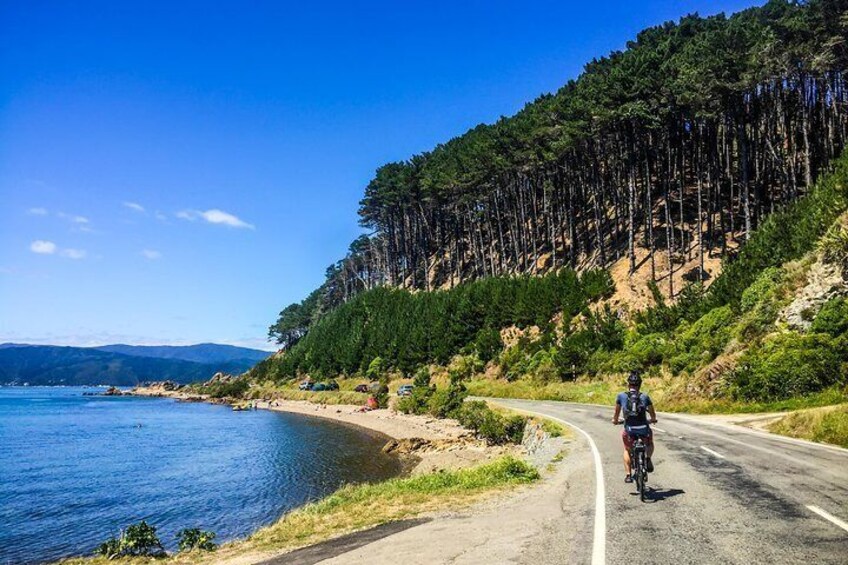 Riding a Switched on Bike on the Miramar Peninsula