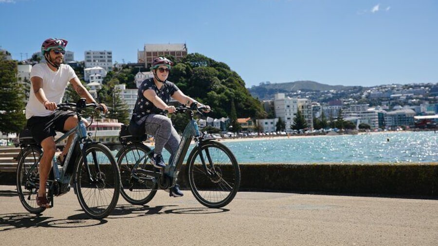 Wellington Electric Bike Rental