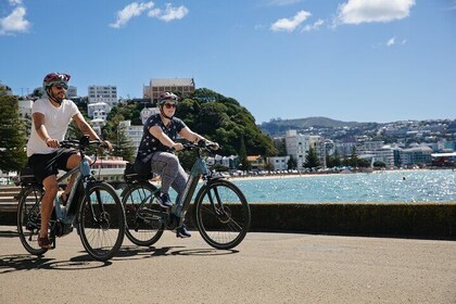 Visite en vélo électrique autoguidée d’une journée complète de Wellington