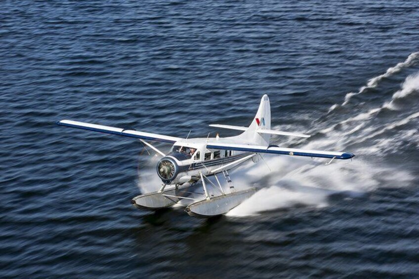 Otter float plane 