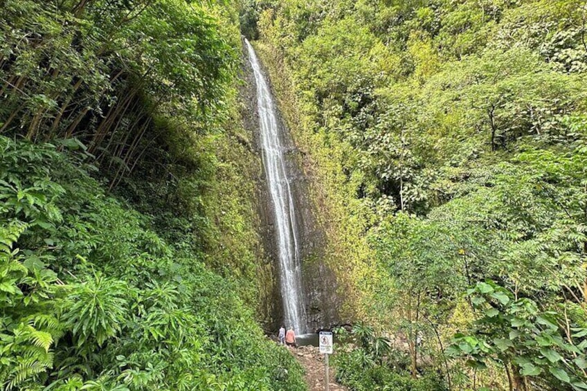 Manoa Falls-Electric Bike to Hike Experience Local meal included 