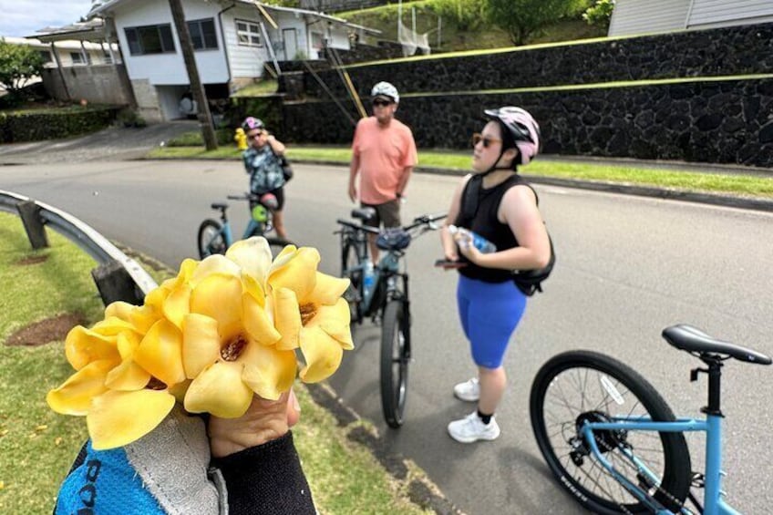 Manoa Falls-Electric Bike to Hike Experience Local meal included 
