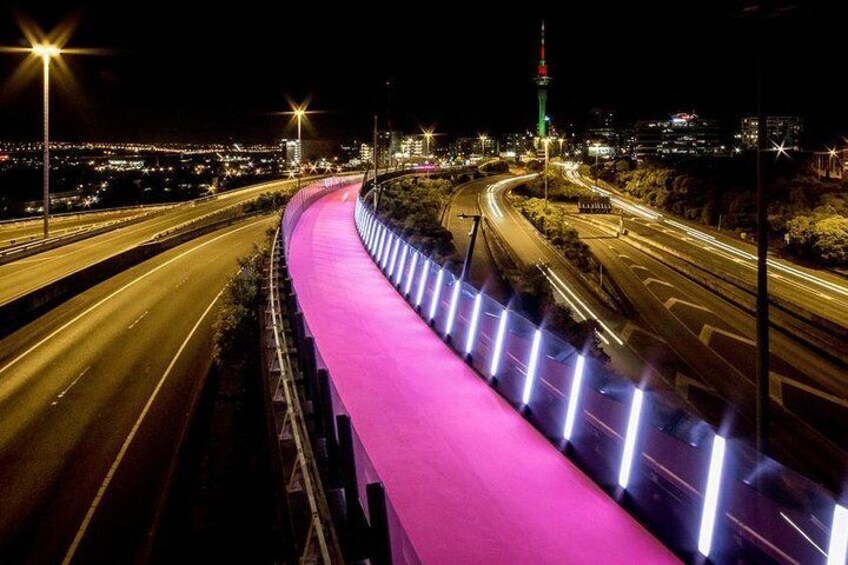 Ride the Lightpath cycleway! 