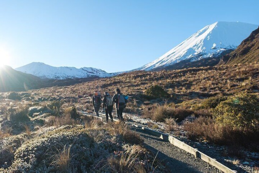 Half Day Tongariro Alpine Guided Group Walk