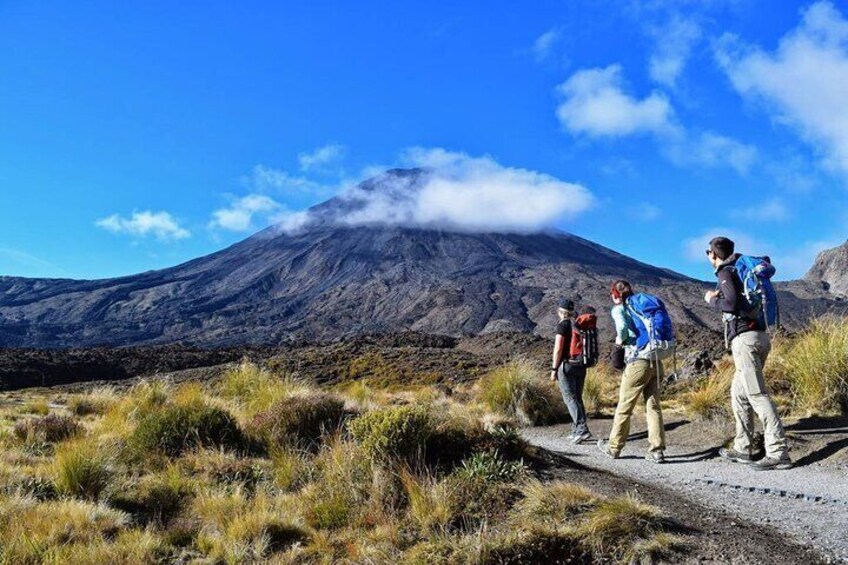 Half Day Tongariro Alpine Guided Group Walk