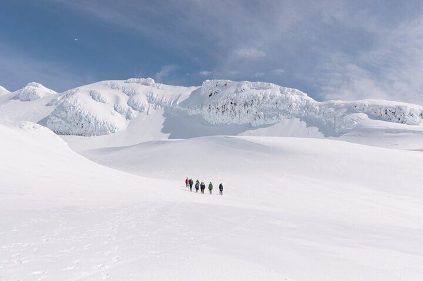 Premium Mt Ruapehu Summit Plateau Guided Group Hike