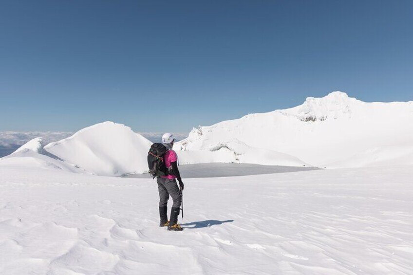 Premium Mt Ruapehu Summit Plateau Guided Group Hike