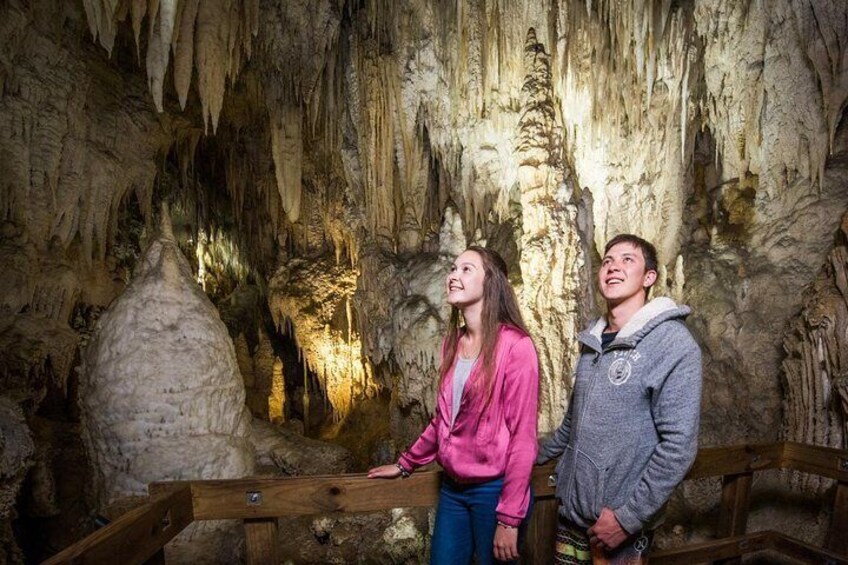 Waitomo Caves