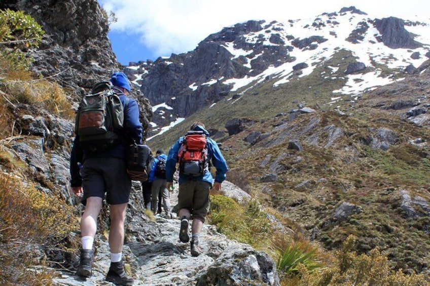 Routeburn Track Guided Hike Full Day 3