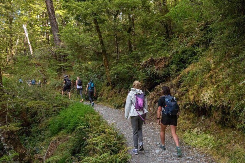 Routeburn Track Guided Hike Full Day 1