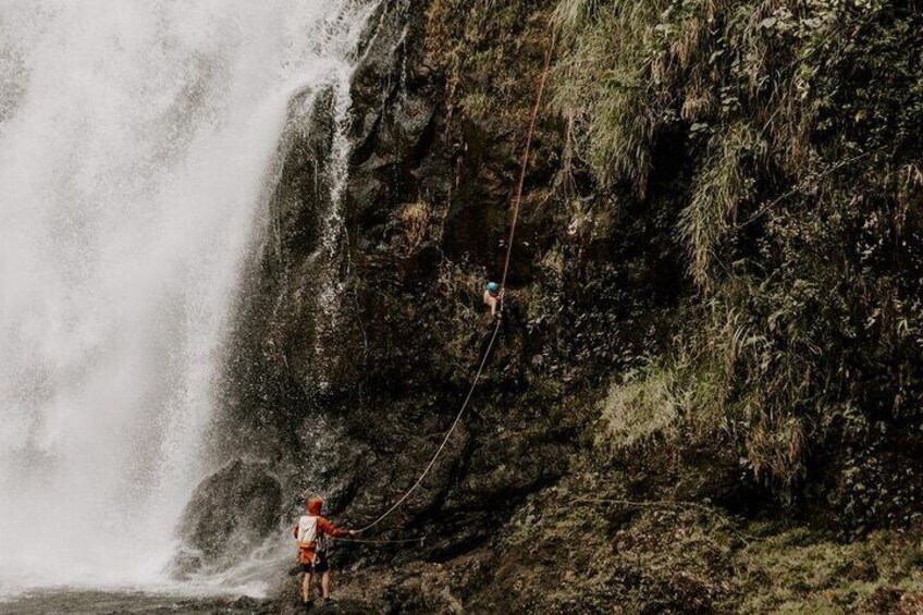 Waterfall Rappelling at Kulaniapia Falls: 120 Foot Drop, 15 Minutes from Hilo