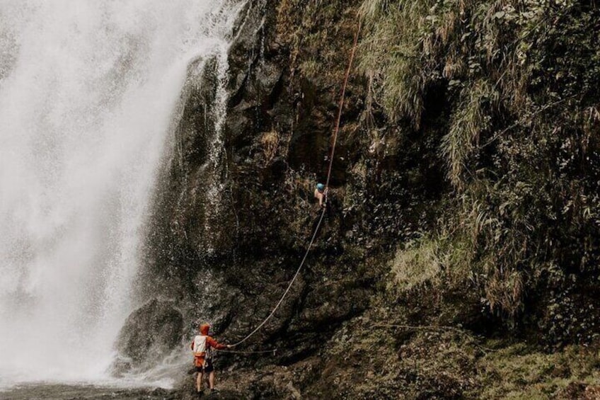 Waterfall Rappelling at Kulaniapia Falls: 120 Foot Drop, 15 Minutes from Hilo