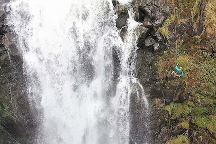 Abseilen am Wasserfall an den Kulaniapia Falls: 120 Fuß Fallhöhe, 15 Minute...