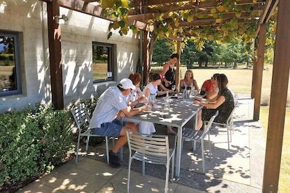 Marlborough Wine Tour - Discovery of Wine & Wine Only 4hrs