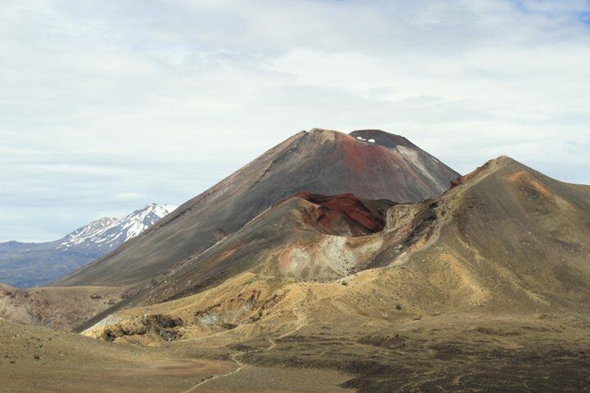 Mount Ngaruhoe with Foris Eco-tours