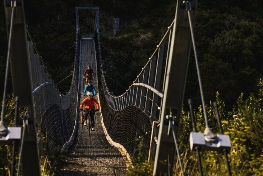 Remutaka Rail Trail Mountain Bike Explorer Cycle Tour