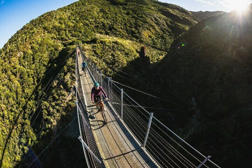 Remutaka Rail Trail Mountain Bike Explorer Cycle Tour