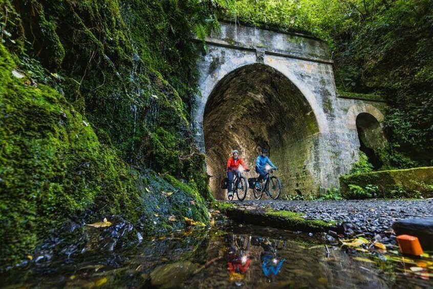 Remutaka Rail Trail Mountain Bike Explorer Cycle Tour