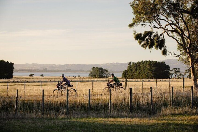 Remutaka Rail Trail Mountain Bike Explorer Cycle Tour