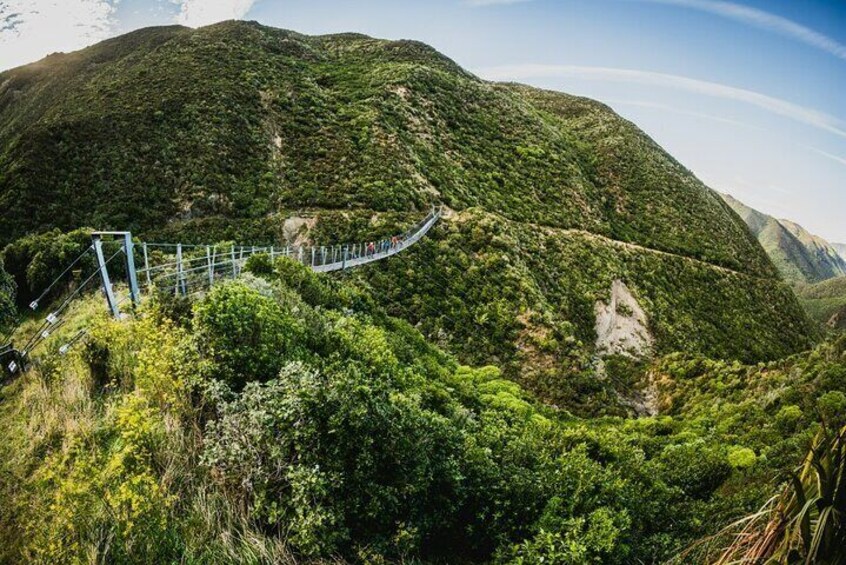 Remutaka Rail Trail Explorer - eBike Cruise Ship Shore Excursion