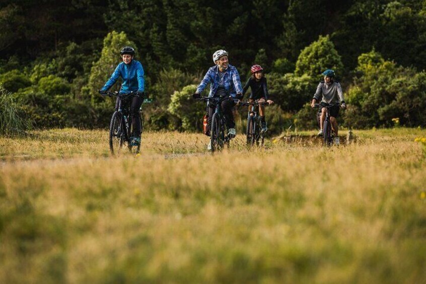 Remutaka Rail Trail Explorer - eBike Cruise Ship Shore Excursion