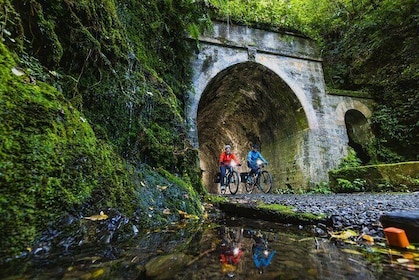 Remutaka Rail Trail Explorer - eBike Cruise Ship Shore Excursion