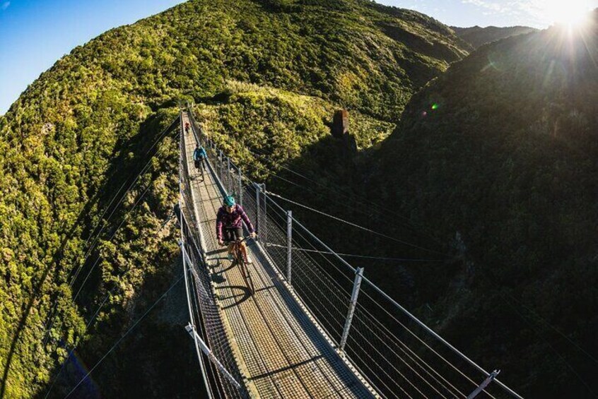 Remutaka Rail Trail Explorer - eBike Cruise Ship Shore Excursion