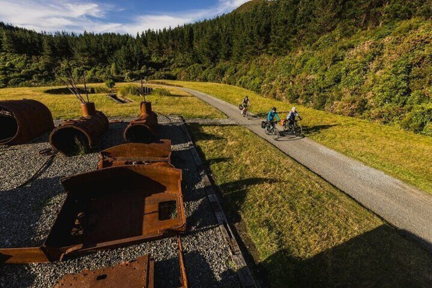 Remutaka Rail Trail Explorer - eBike Cruise Ship Shore Excursion